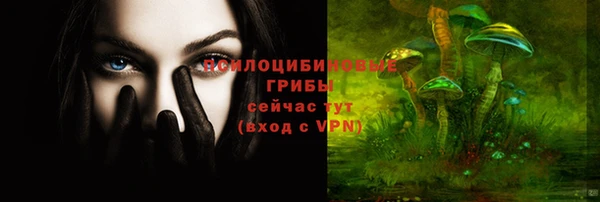 твердый Новозыбков