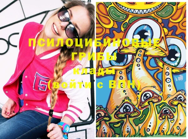 твердый Новозыбков